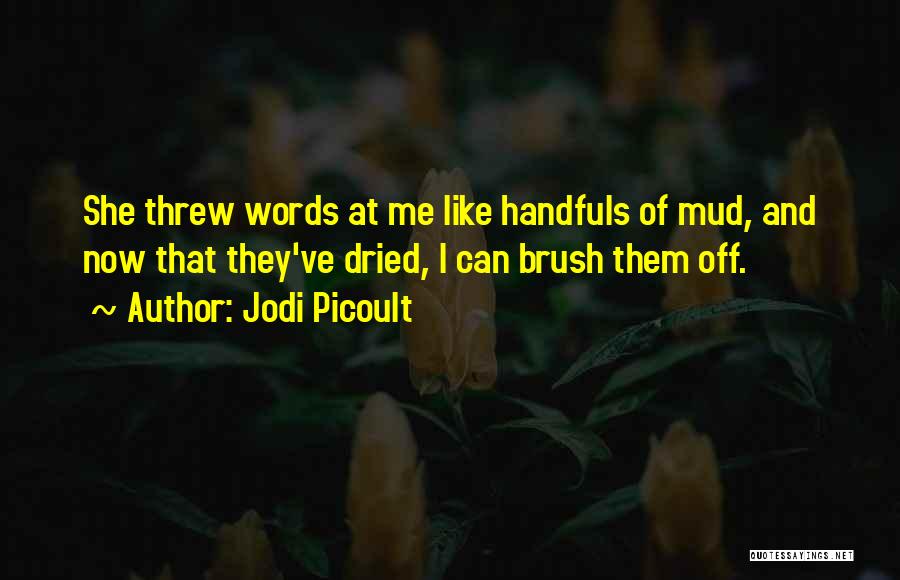 Brush Me Off Quotes By Jodi Picoult