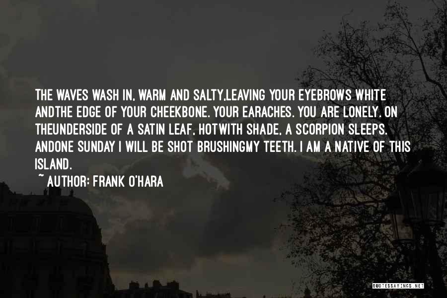 Brushing Teeth Quotes By Frank O'Hara
