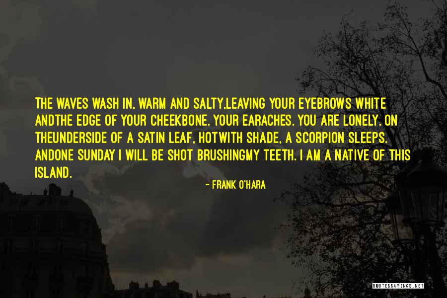 Brushing Your Teeth Quotes By Frank O'Hara Brushing Your Teeth Quotes By Frank O'Hara