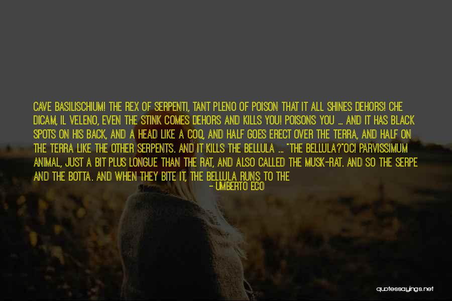 Brushworks Quotes By Umberto Eco Brushworks Quotes By Umberto Eco
