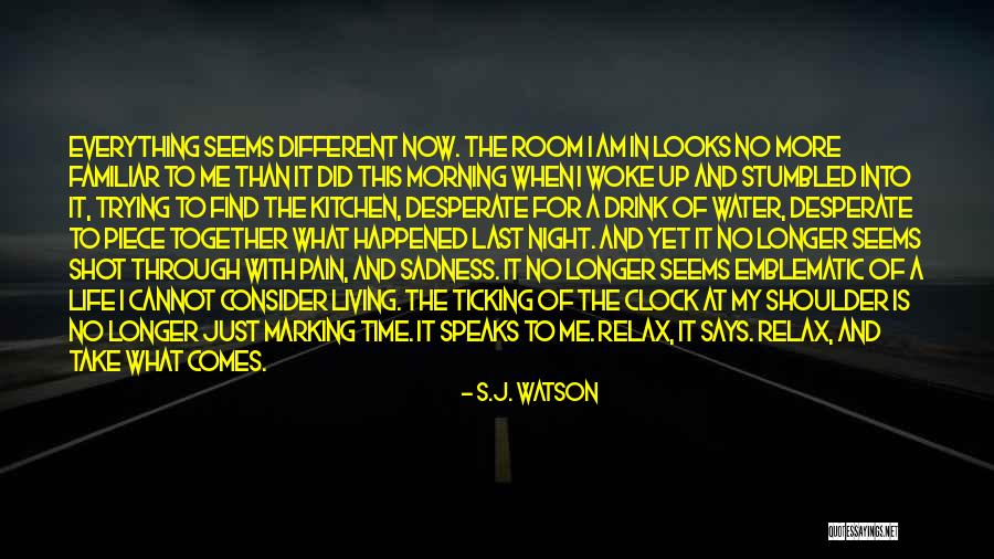 Brusilow And Associates Quotes By S.J. Watson Brusilow And Associates Quotes By S.J. Watson
