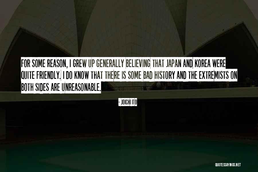 Bruskies Quotes By Joichi Ito Bruskies Quotes By Joichi Ito