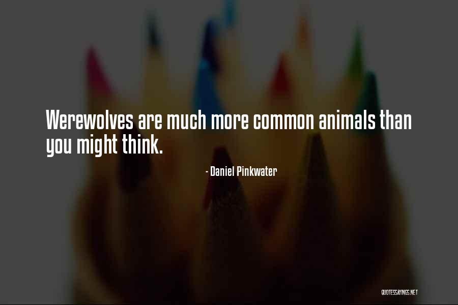 Brussaard Carola Quotes By Daniel Pinkwater Brussaard Carola Quotes By Daniel Pinkwater