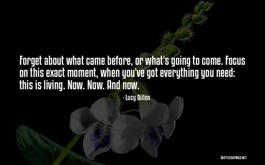 Brusveen Chiro Quotes By Lucy Dillon Brusveen Chiro Quotes By Lucy Dillon