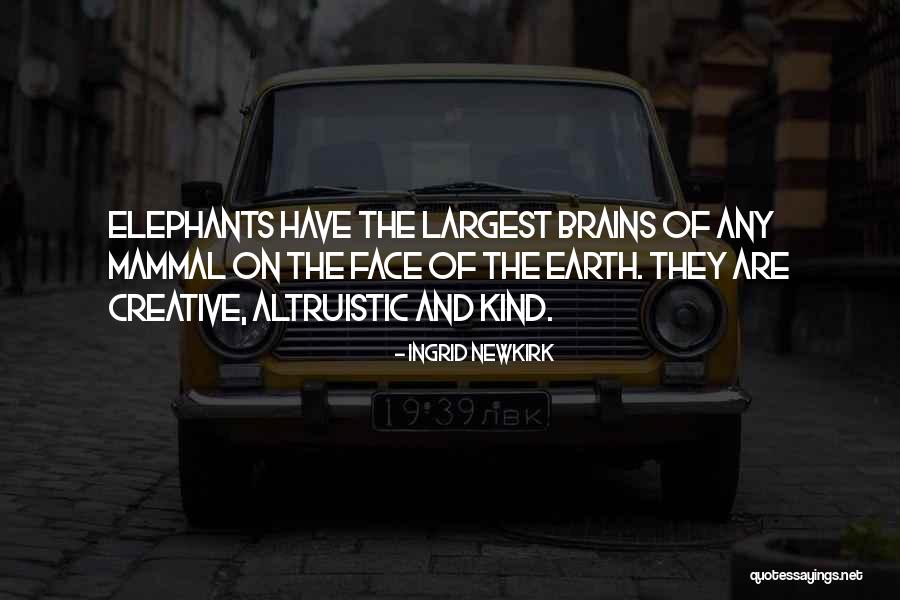 Brutale 1000rr Quotes By Ingrid Newkirk Brutale 1000rr Quotes By Ingrid Newkirk