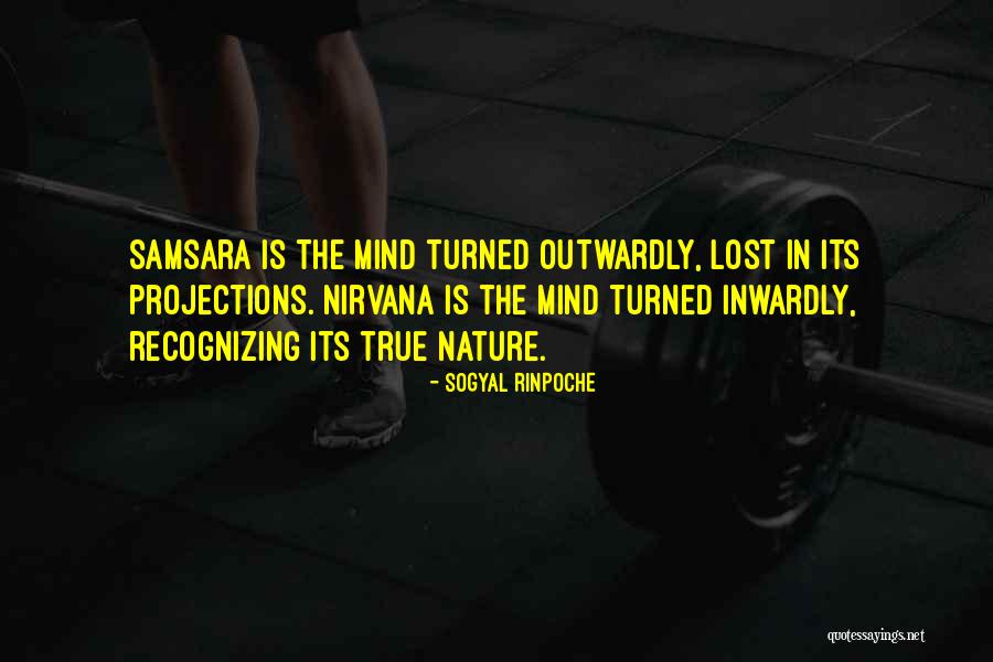 Brutalised Quotes By Sogyal Rinpoche Brutalised Quotes By Sogyal Rinpoche