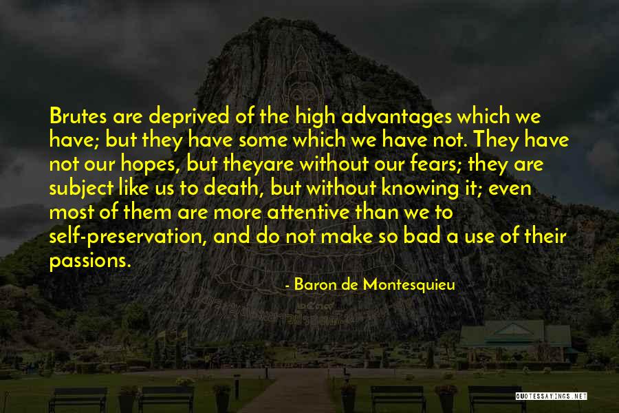 Brutes On Me Quotes By Baron De Montesquieu Brutes On Me Quotes By Baron De Montesquieu
