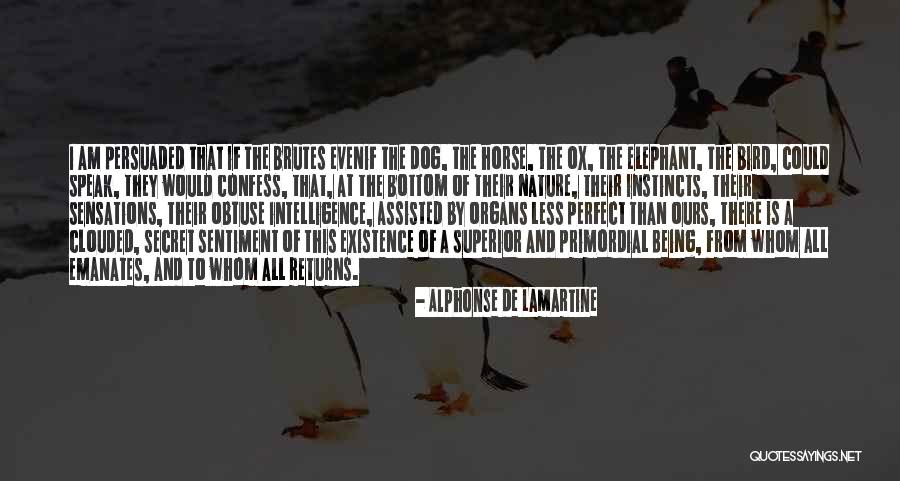 Brutes Quotes By Alphonse De Lamartine Brutes Quotes By Alphonse De Lamartine