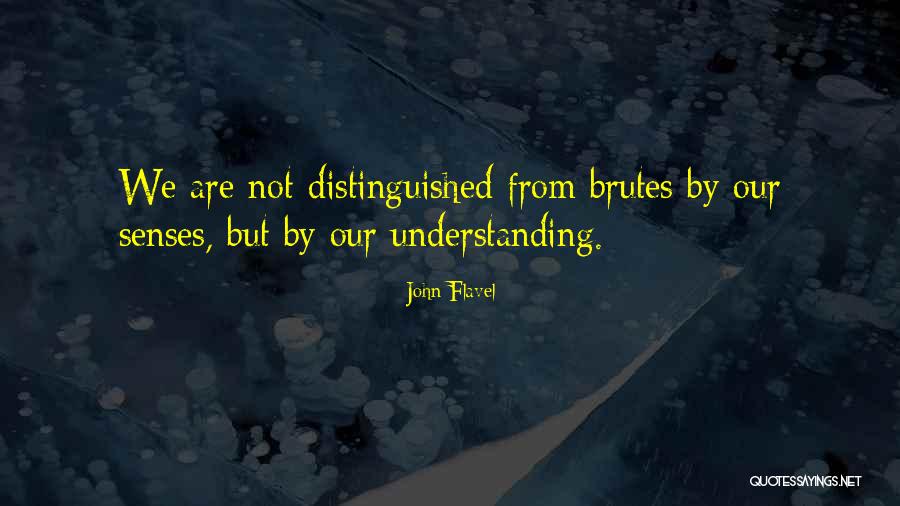 Brutes Quotes By John Flavel Brutes Quotes By John Flavel