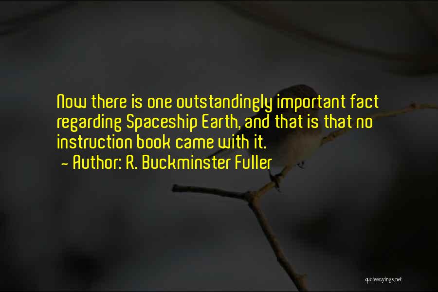 Bruzzese Del Quotes By R. Buckminster Fuller