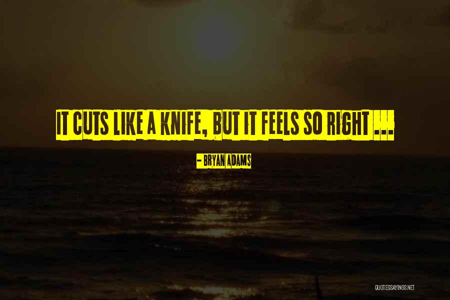 Bryan Adams Quotes 577599 Bryan Adams Quotes 577599