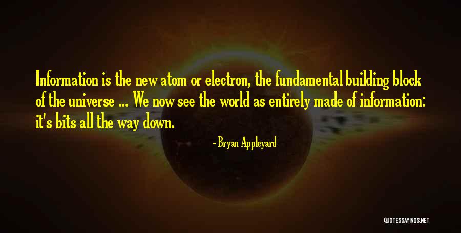 Bryan Appleyard Quotes 621489