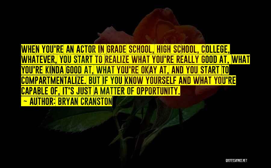 Bryan Cranston Quotes 1427112