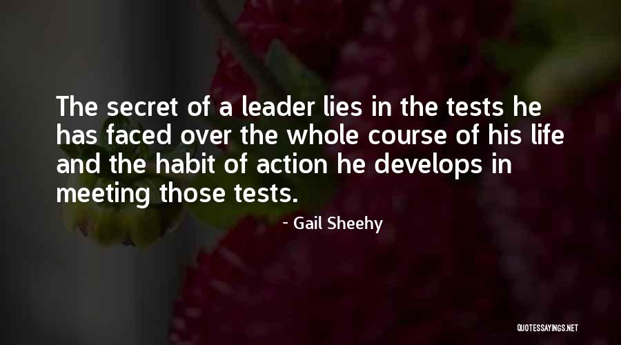 Bryanne Robson Quotes By Gail Sheehy Bryanne Robson Quotes By Gail Sheehy