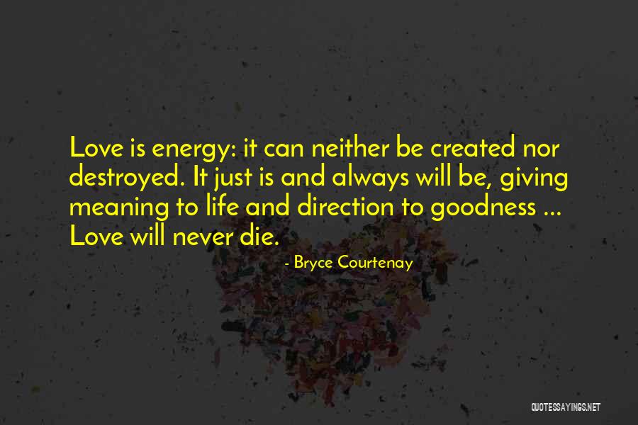 Bryce Courtenay Quotes 477979