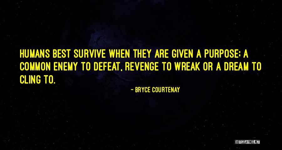 Bryce Courtenay Quotes 525685