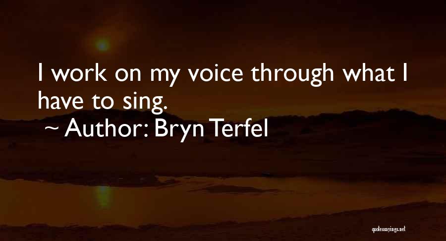 Bryn Terfel Quotes 660638