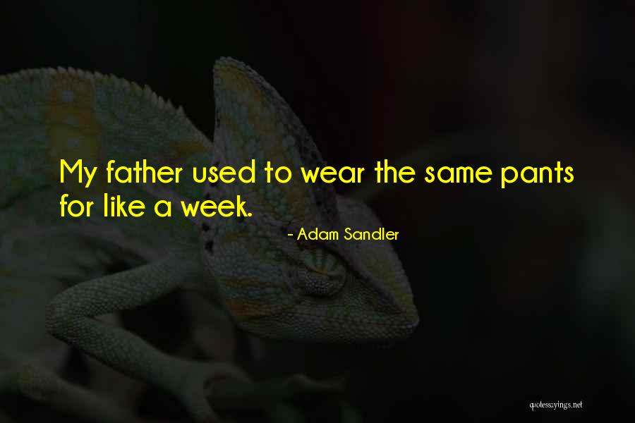 Brynden Walker Quotes By Adam Sandler Brynden Walker Quotes By Adam Sandler