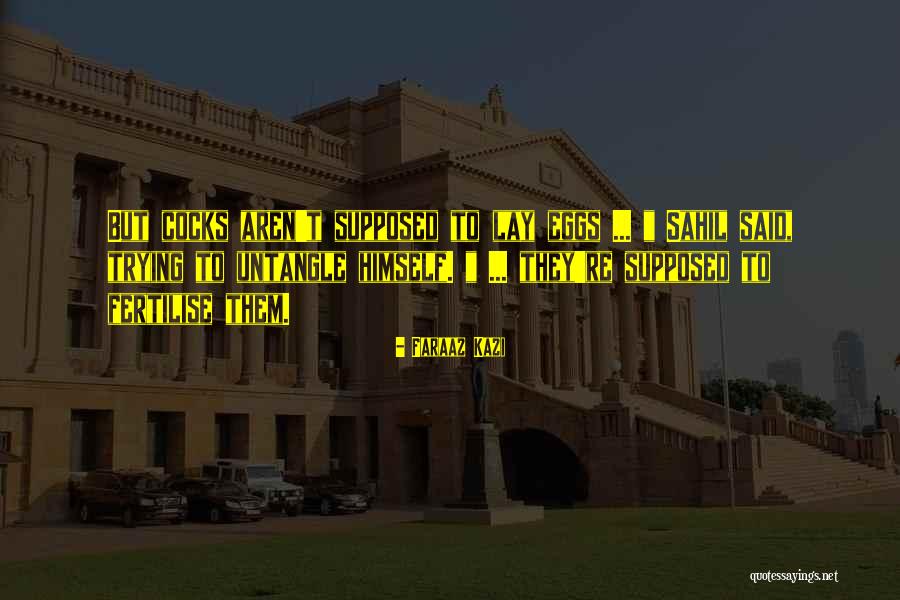 Bryndon Manzer Quotes By Faraaz Kazi Bryndon Manzer Quotes By Faraaz Kazi