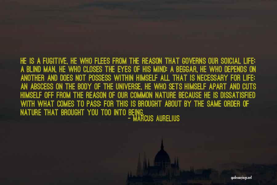 Brynja Sigurdardottir Quotes By Marcus Aurelius Brynja Sigurdardottir Quotes By Marcus Aurelius