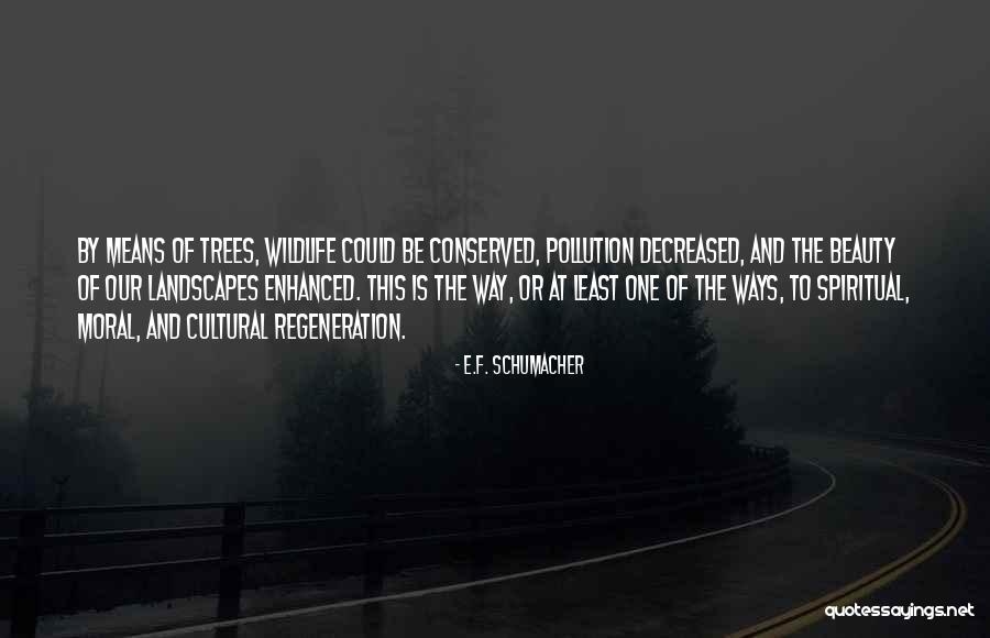 Brzuch Architekta Quotes By E.F. Schumacher Brzuch Architekta Quotes By E.F. Schumacher