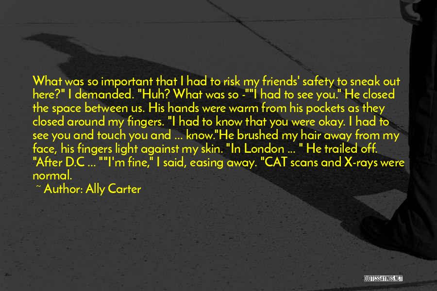 Bsfatozblog Quotes By Ally Carter