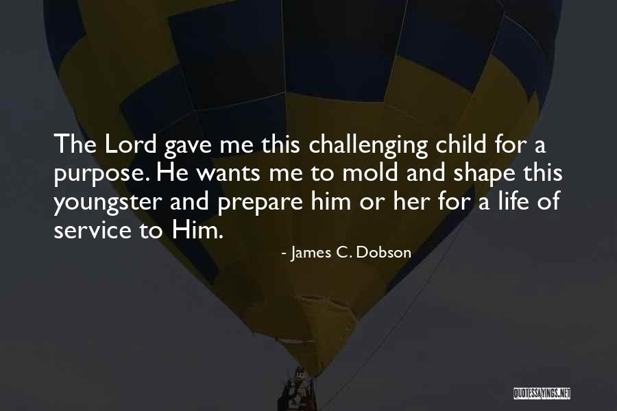 Bsod Error Quotes By James C. Dobson Bsod Error Quotes By James C. Dobson