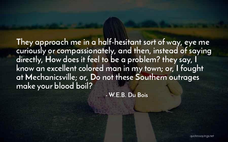 B'stard Quotes By W.E.B. Du Bois