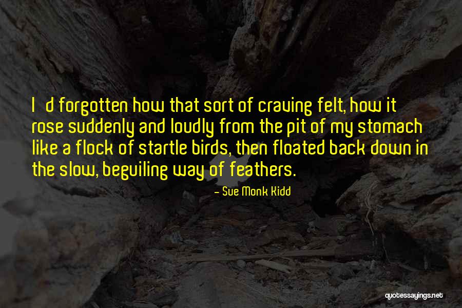 Bubassauro Quotes By Sue Monk Kidd Bubassauro Quotes By Sue Monk Kidd