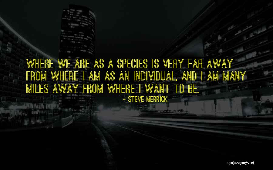 Bubbie Jewish Quotes By Steve Merrick Bubbie Jewish Quotes By Steve Merrick