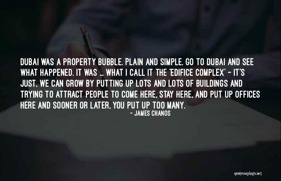 Bubble For People Quotes By James Chanos Bubble For People Quotes By James Chanos
