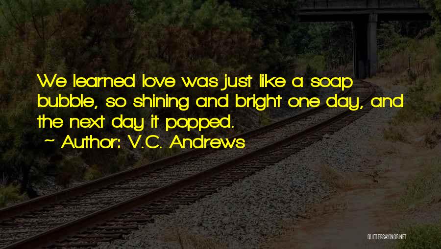 Bubble Soap Quotes By V.C. Andrews