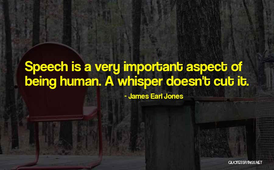 Bucay Abra Quotes By James Earl Jones
