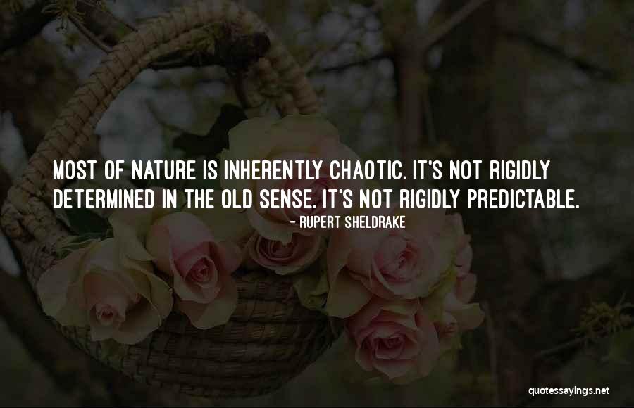 Buchek Quotes By Rupert Sheldrake Buchek Quotes By Rupert Sheldrake
