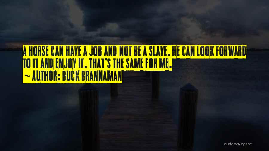 Buck Brannaman Quotes 681918