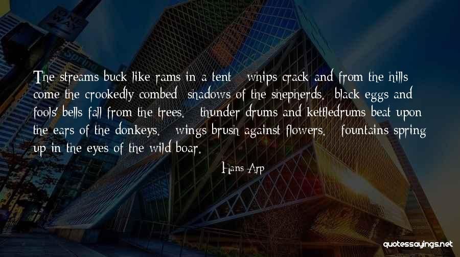 Buck Up Quotes By Hans Arp Buck Up Quotes By Hans Arp