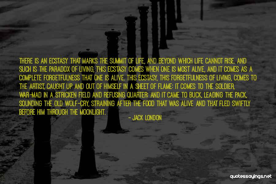 Buck Up Quotes By Jack London Buck Up Quotes By Jack London