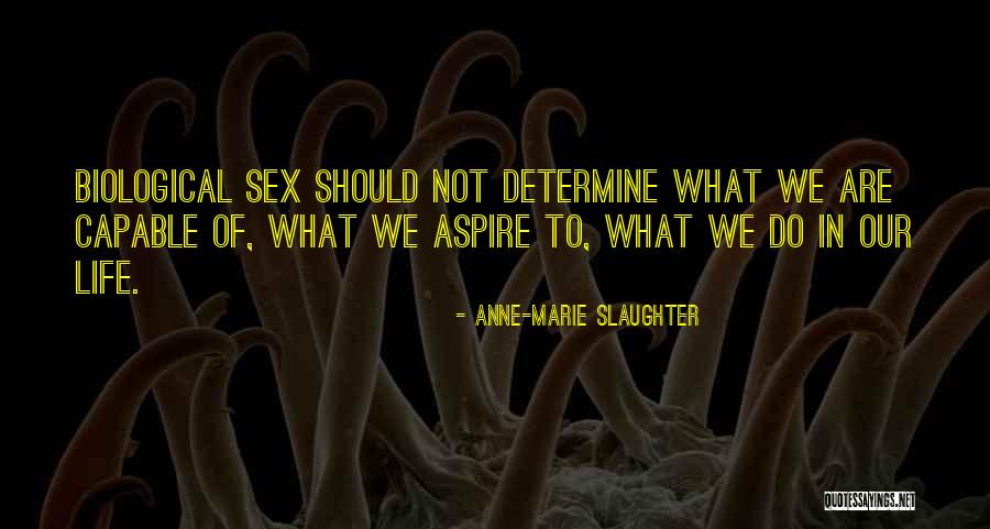 Buckcherry Tour Quotes By Anne-Marie Slaughter Buckcherry Tour Quotes By Anne-Marie Slaughter