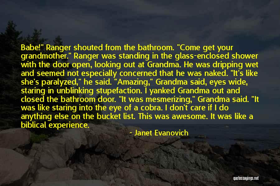 Bucket List Quotes By Janet Evanovich