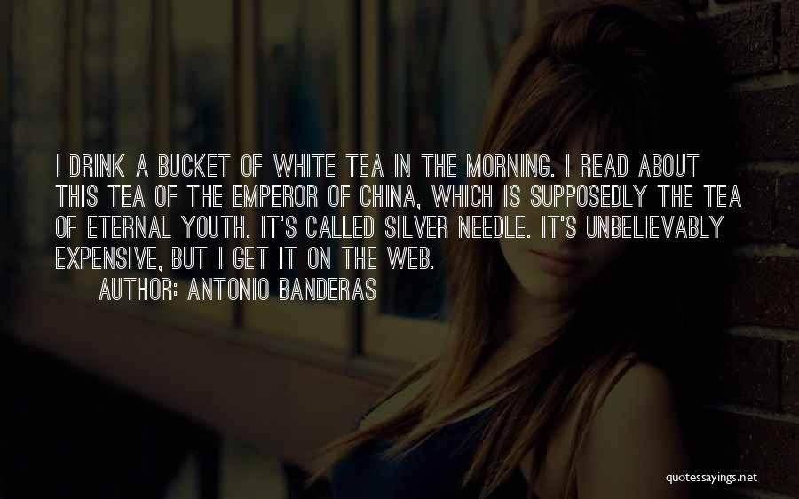 Bucket Quotes By Antonio Banderas