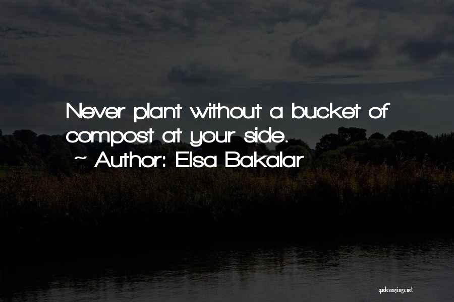 Bucket Quotes By Elsa Bakalar