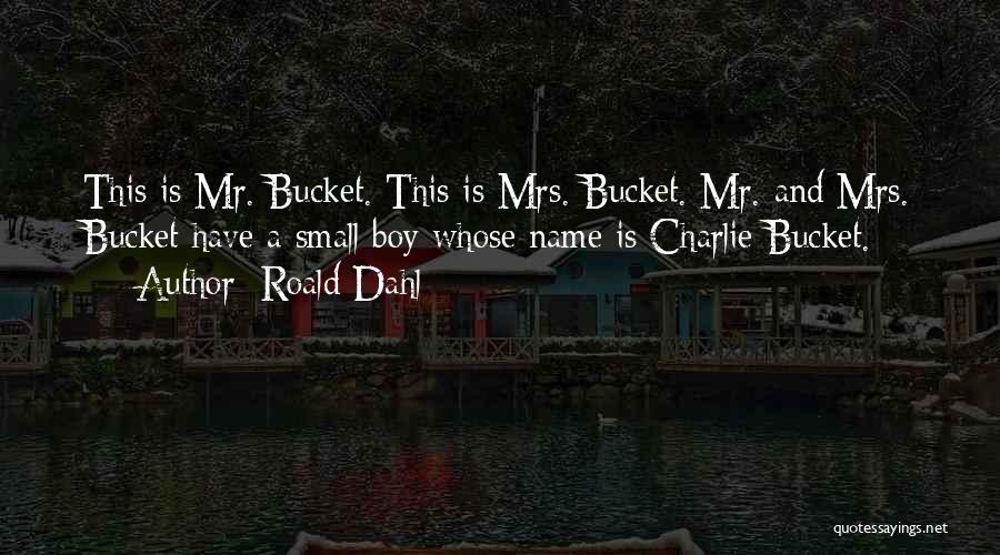 Bucket Quotes By Roald Dahl