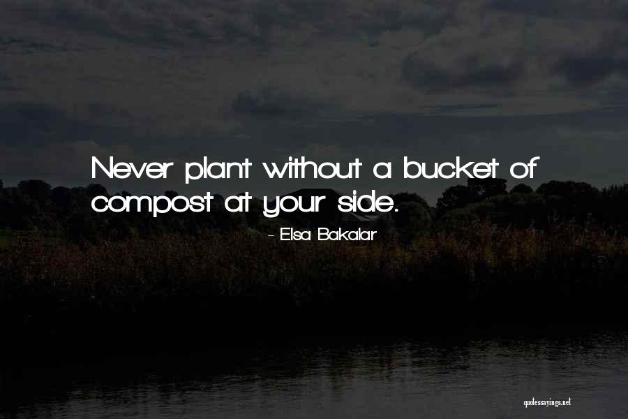 Buckets Quotes By Elsa Bakalar Buckets Quotes By Elsa Bakalar