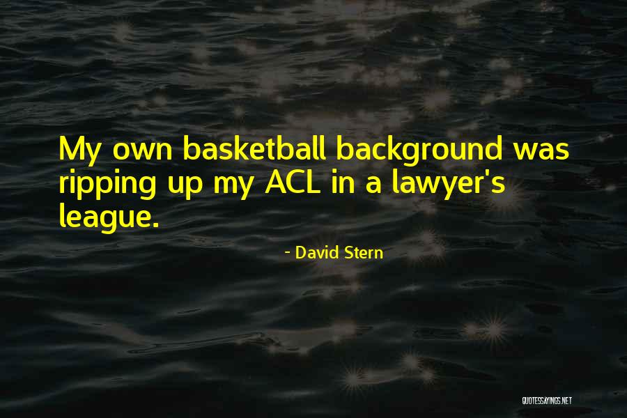 Buckkeep Castle Quotes By David Stern