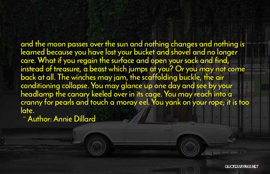 Buckle Up Quotes By Annie Dillard