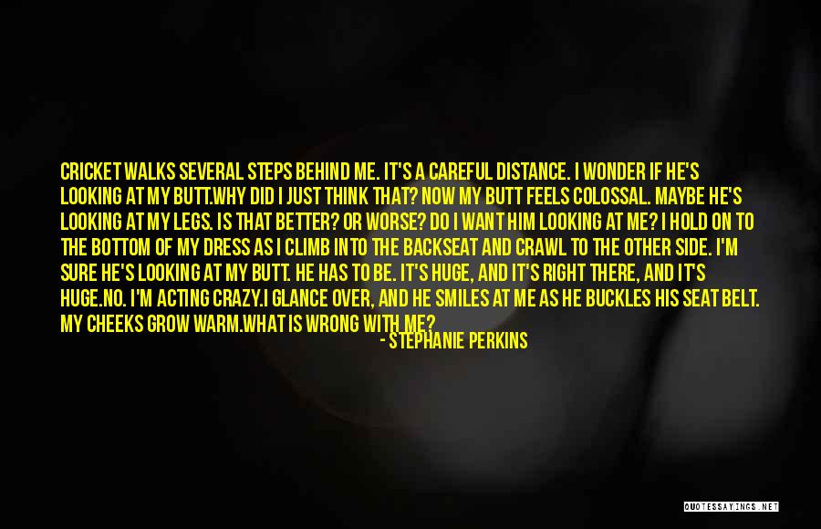Buckles Quotes By Stephanie Perkins Buckles Quotes By Stephanie Perkins