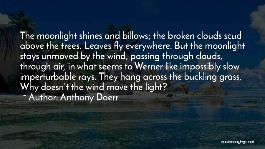 Buckling Up Quotes By Anthony Doerr