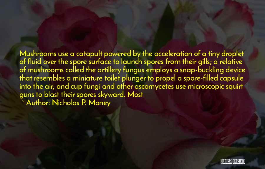 Buckling Up Quotes By Nicholas P. Money