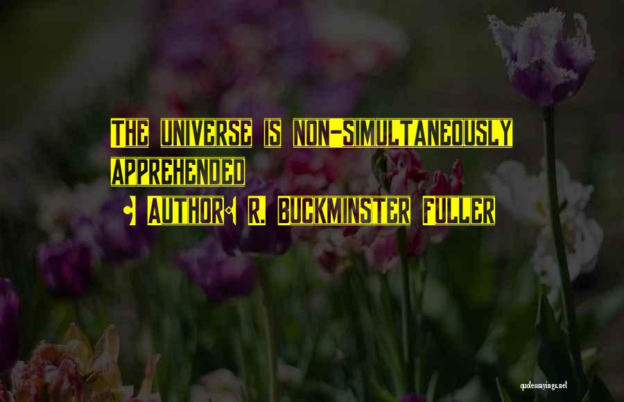 Buckminster Quotes By R. Buckminster Fuller