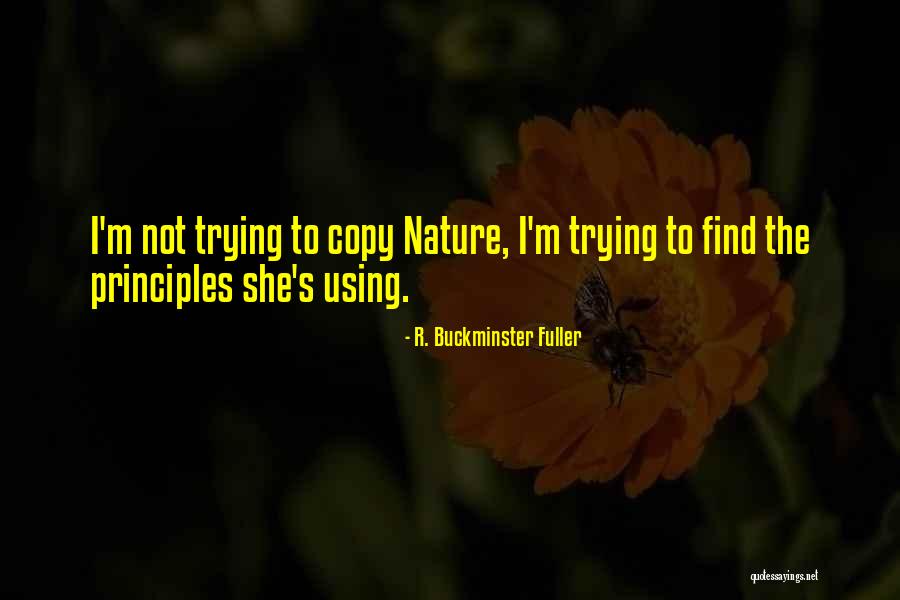 Buckminster Quotes By R. Buckminster Fuller Buckminster Quotes By R. Buckminster Fuller